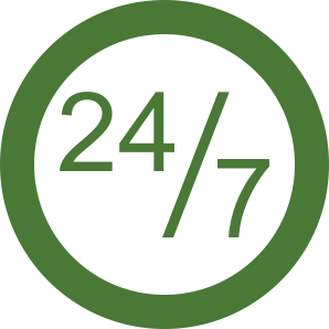 icon 247